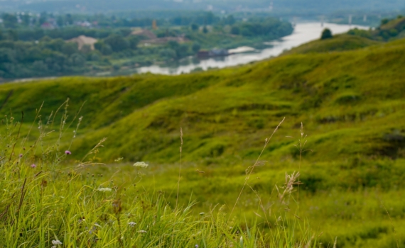Подопригора: Аркаим был превращен в коммерческий аттракцион за бюджетные деньги