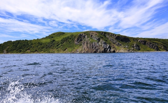 Политолог Ярошенко поддержал инициативу архангельского губернатора по развитию СМП Политолог Ярошенко поддержал инициативу архангельского губернатора по развитию СМП