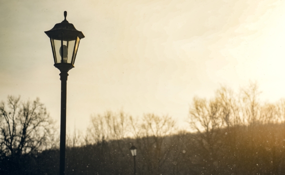 Луна в Тельце 25.11.2025: почему деньги сами пойдут в руки, если не мешать — что можно и нельзя Луна в Тельце 25.11.2025: почему деньги сами пойдут в руки, если не мешать — что можно и нельзя